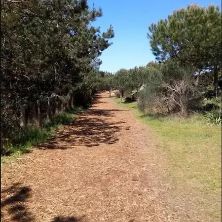 Holiday Avenue Des Pierres Couchees بيت للعطل سانت-بريفين-لي-بان